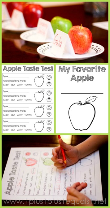 FREE Apple Taste Printables