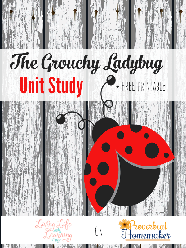 Free The Grouchy Ladybug Unit Study Printables