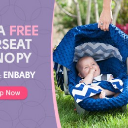 Free Carseat Canopy - Just Pay Shipping!