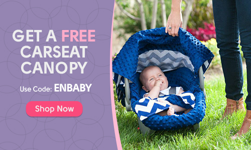 Free Carseat Canopy - Just Pay Shipping!