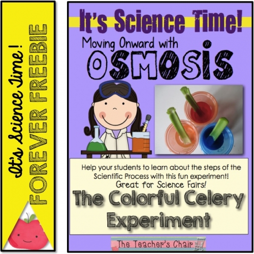 It's Science Time! Osmosis- The Colorful Celery Experiment