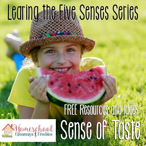 FREE Five Senses