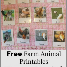 FREE Farm Animals Montessori Cards