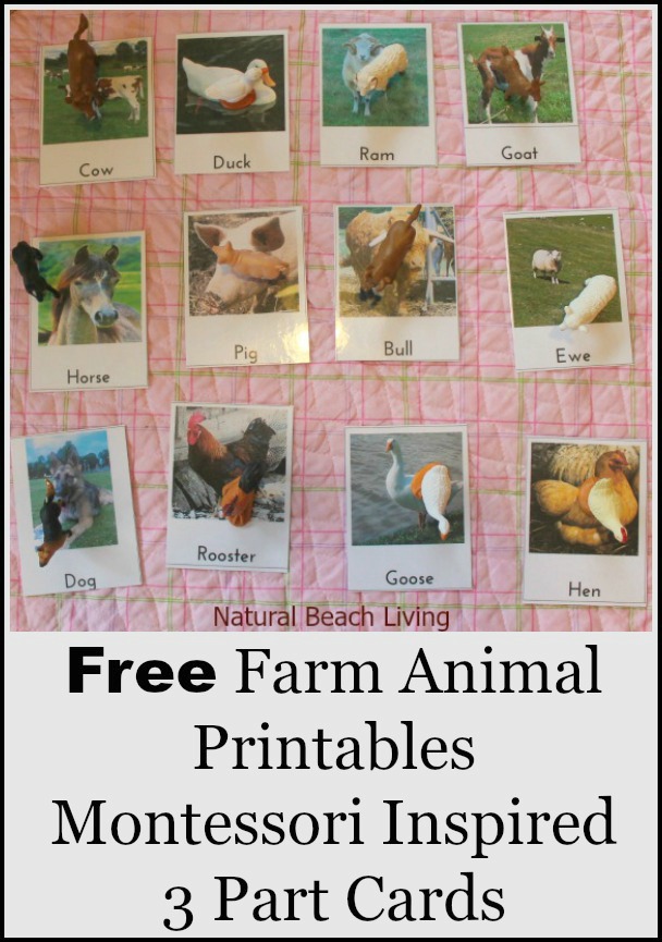 FREE Farm Animals Montessori Cards