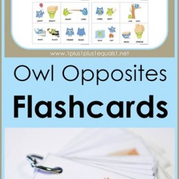 FREE Owl Opposites Cards
