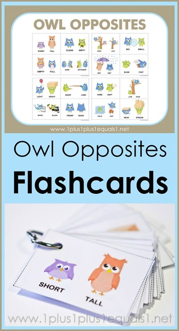 FREE Owl Opposites Cards