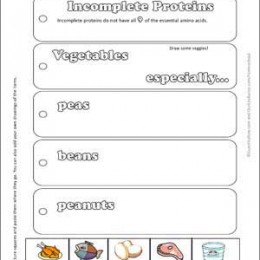 FREE Nutrition Lapbook