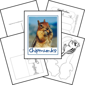 FREE Chipmunk Lapbook