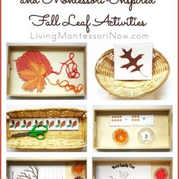 FREE Fall Leaf Activities and Printables