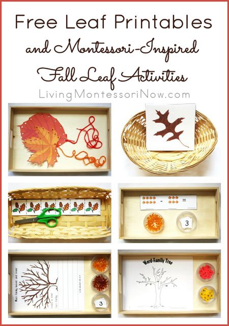 FREE Fall Leaf Activities and Printables