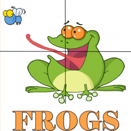 FREE Frogs Printables
