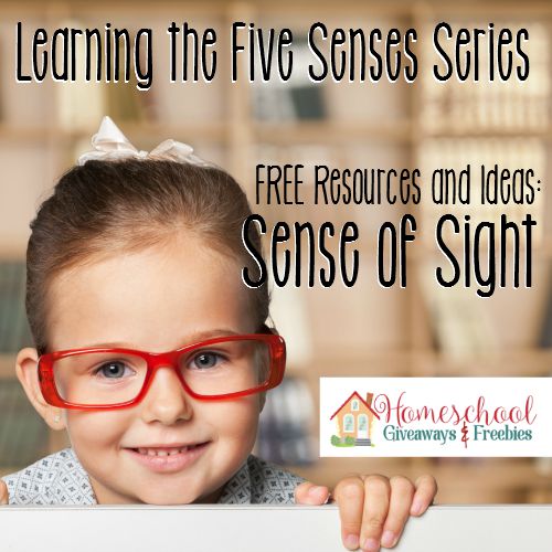 FREE Sense of Sight Printables