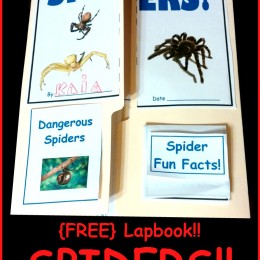 FREE Spider Lapbook