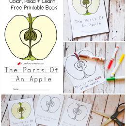 FREE Apple Printables