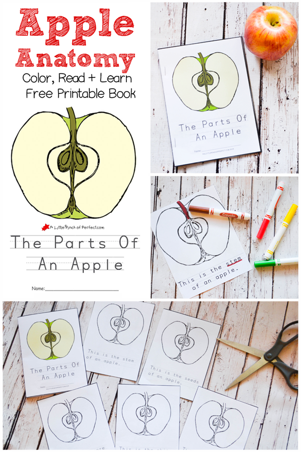 FREE Apple Printables