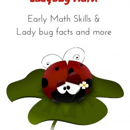 FREE Ladybug Math