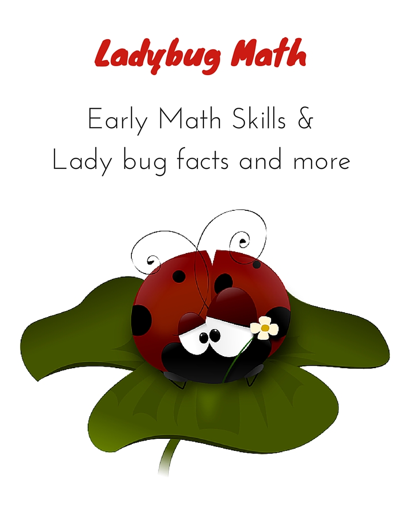 FREE Ladybug Math