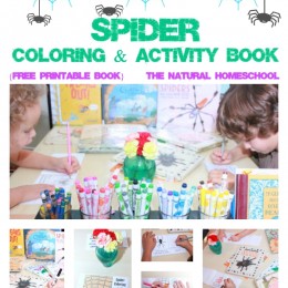 FREE Spider Activity and printables