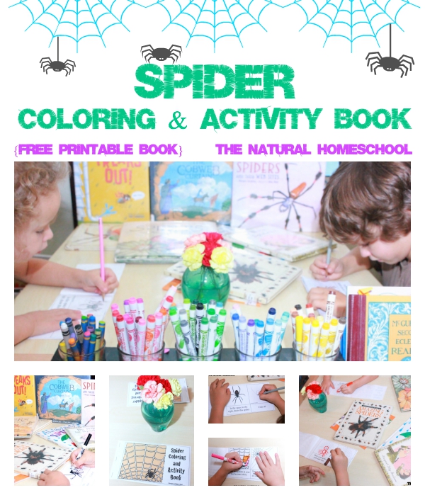 FREE Spider Activity and printables