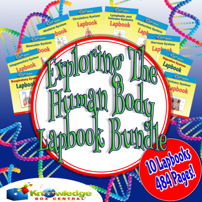 Exploring the Human Body Lapbook Bundle Only $6.75! (Reg. $30!)