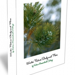 Winter Nature Study Only $3.25! (Reg. $9.50!)