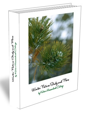 Winter Nature Study Only $3.25! (Reg. $9.50!)