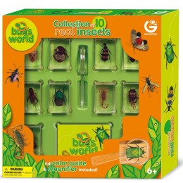 Bug's World Collection of 10 Bugs Only $18.91! (Reg. $33!)