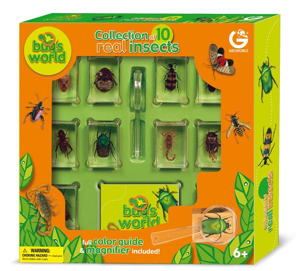Bug's World Collection of 10 Bugs Only $18.91! (Reg. $33!)