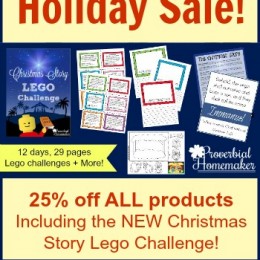 25% Off Christmas & Bible Lego Challenges