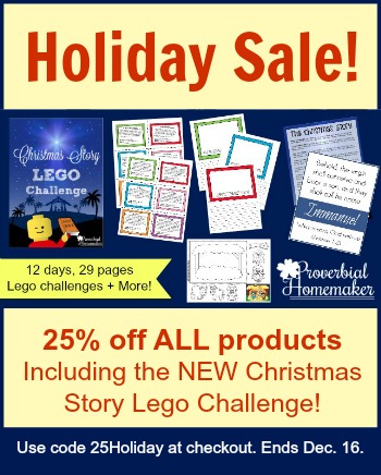 25% Off Christmas & Bible Lego Challenges