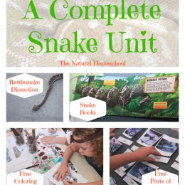 FREE Snake Unit