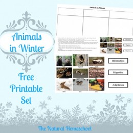 FREE Animals in Winter Printable