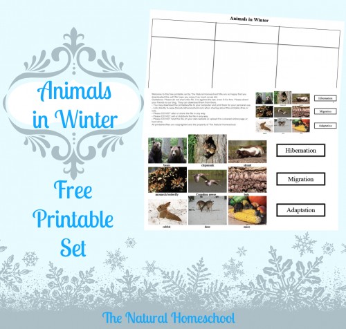 FREE Animals in Winter Printable