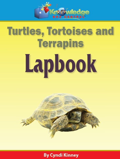 Free Turtles, Tortoises, & Terrains Lapbook ($5 Value!)