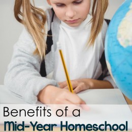 Benefits of a Mid-Year Homeschool Evaluation