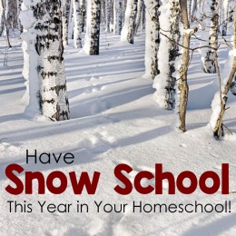 Have “Snow School” This Year! BIG List of Ideas for Your Homeschool!