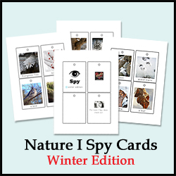 Winter I Spy Cards