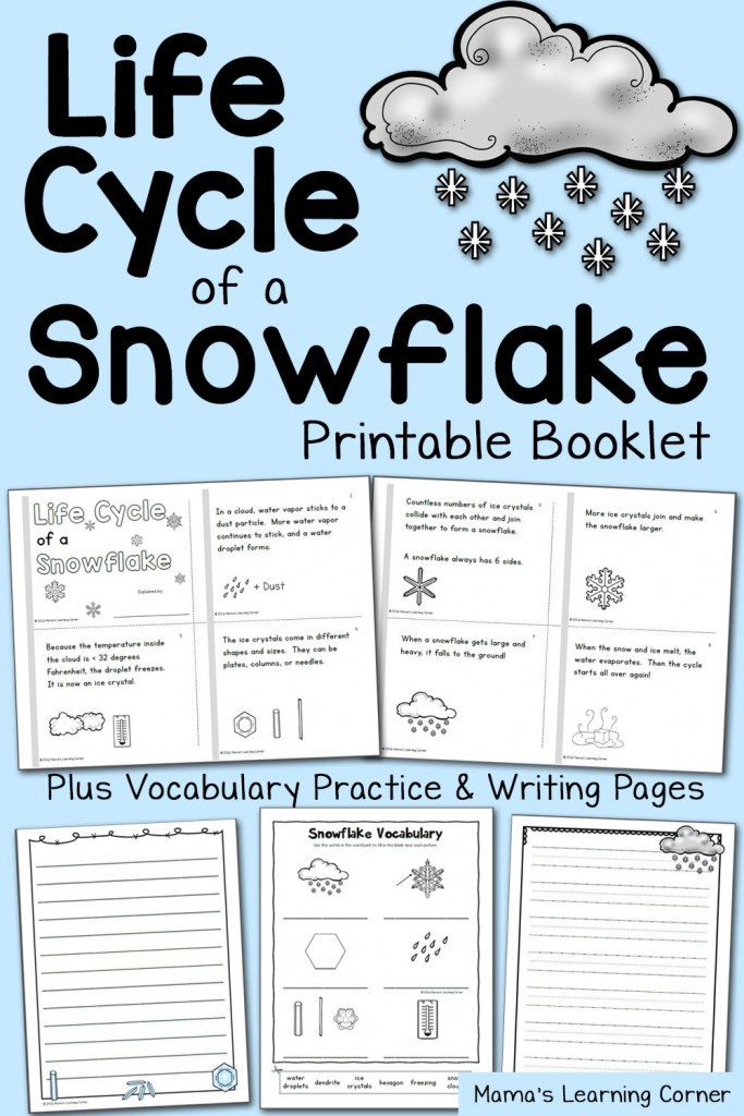 Snowflake Life Cycle Booklet and Vocabulary Practice