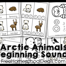 FREE Arctic Animals Beginning Sounds Pack (Instant Download!)