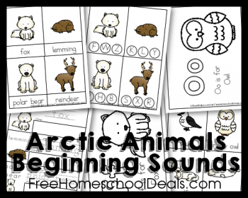 FREE Arctic Animals Beginning Sounds Pack (Instant Download!)