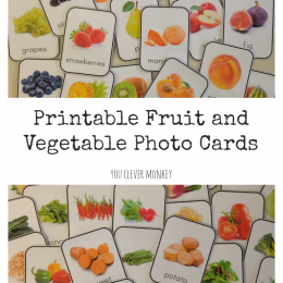 FREE Printable Fruit and Veg Cards