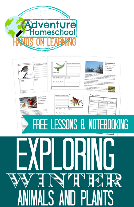 FREE Exploring Winter Animals