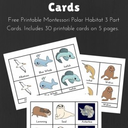 FREE polar Habitat Cards