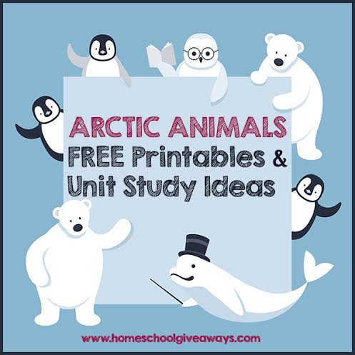 Arctic Animal Tracing Page, preschool winter activity, music activity