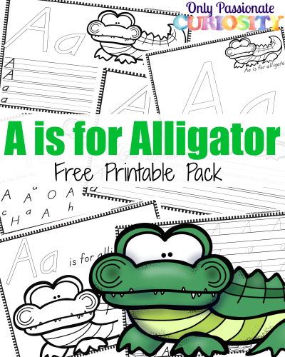 FREE A is for Alligator