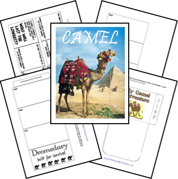 FREE Camel Lapbook