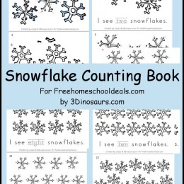 FREE Snowflake Counting Book