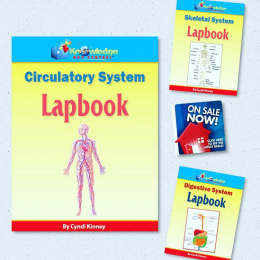 60% Off Human Body Systems Lapbooks