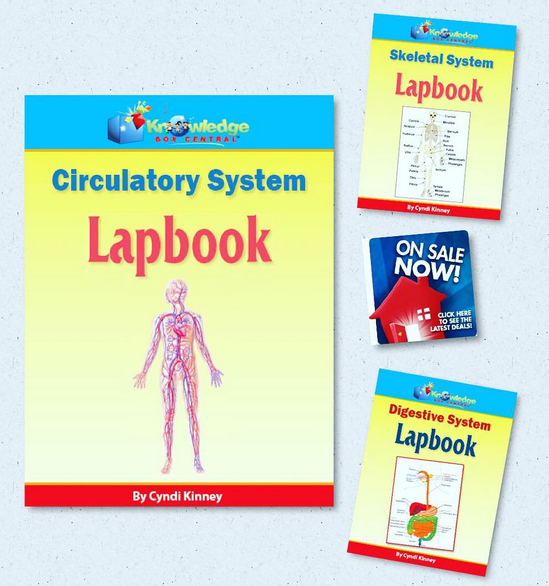 60% Off Human Body Systems Lapbooks