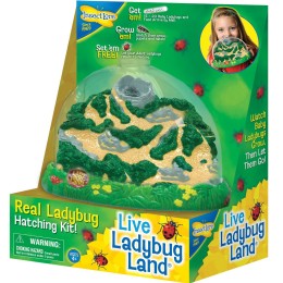 Insect Lore Ladybug Land Only $13.68! (Reg. $19.99)